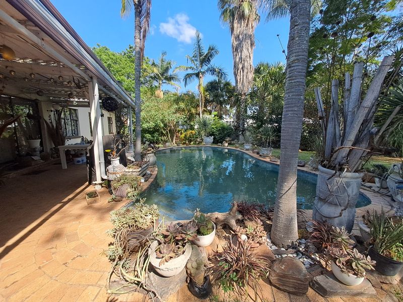 Outdoor pool area featuring a swimming pool, paved patio space, and established garden surroundings with mature palm trees.
