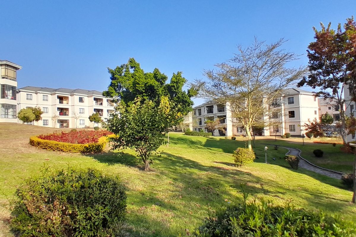 A view of the communal garden area and landscaped grounds between multi-story apartment buildings.