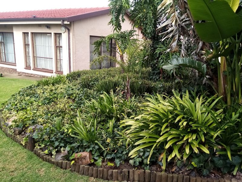 A well-established garden area featuring mature tropical plants, a lawn, and timber log edging, adjacent to the side elevation of the house.