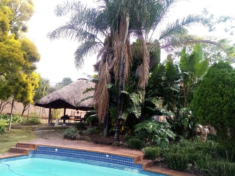 Outdoor pool area featuring a swimming pool with brick coping and a traditional thatched lapa set within a mature, established garden.