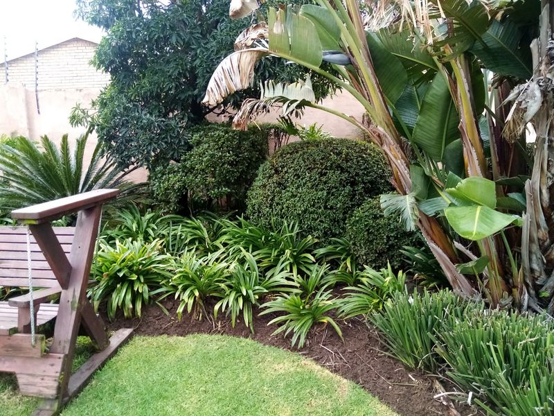 A residential garden area featuring established shrubs, trees, and a boundary wall with electric fencing.