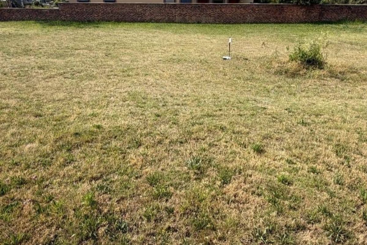 A vacant residential plot featuring a level grassed area and a brick boundary wall, offering a clear space for future development.