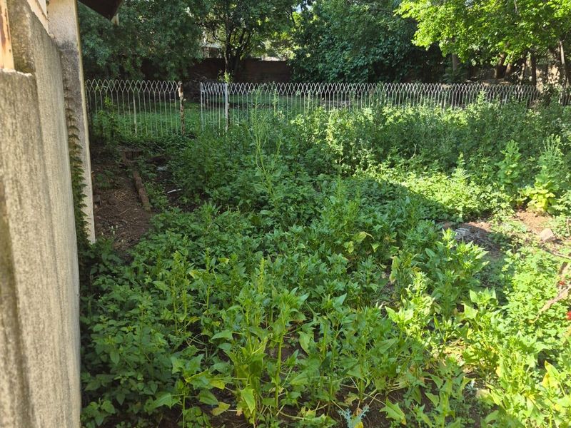A large, overgrown rear garden area featuring mature trees, metal perimeter fencing, and direct access to the side of the property structure.