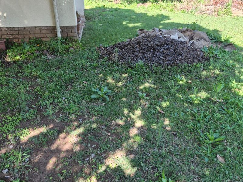 A view of the rear garden area featuring a brick boundary wall and an overgrown lawn with a pile of garden debris.