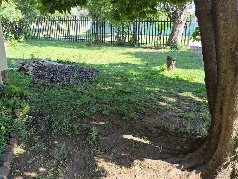 A private backyard area featuring a mature tree, lawn space, and metal perimeter fencing, offering potential for landscaping and garden improvement.