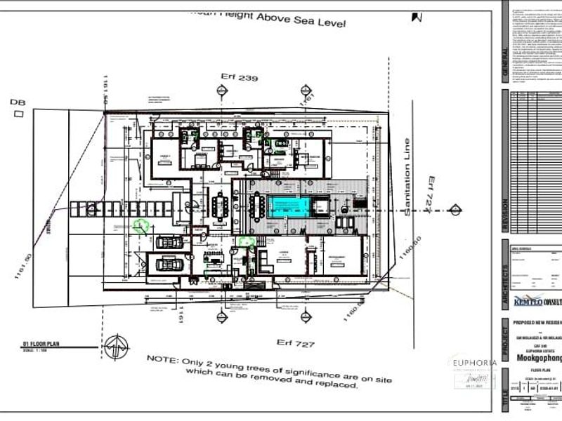 Architectural floor plan for a proposed new residential development on Erf 239, detailing the layout and site boundaries.