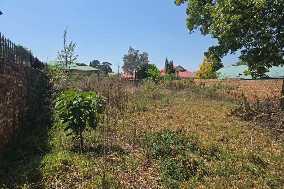 A vacant residential plot featuring overgrown vegetation and enclosed by a brick perimeter wall with security spikes.