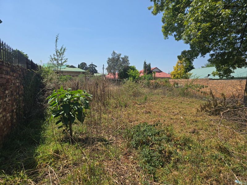 A vacant residential plot featuring overgrown vegetation and enclosed by a brick perimeter wall with security spikes.