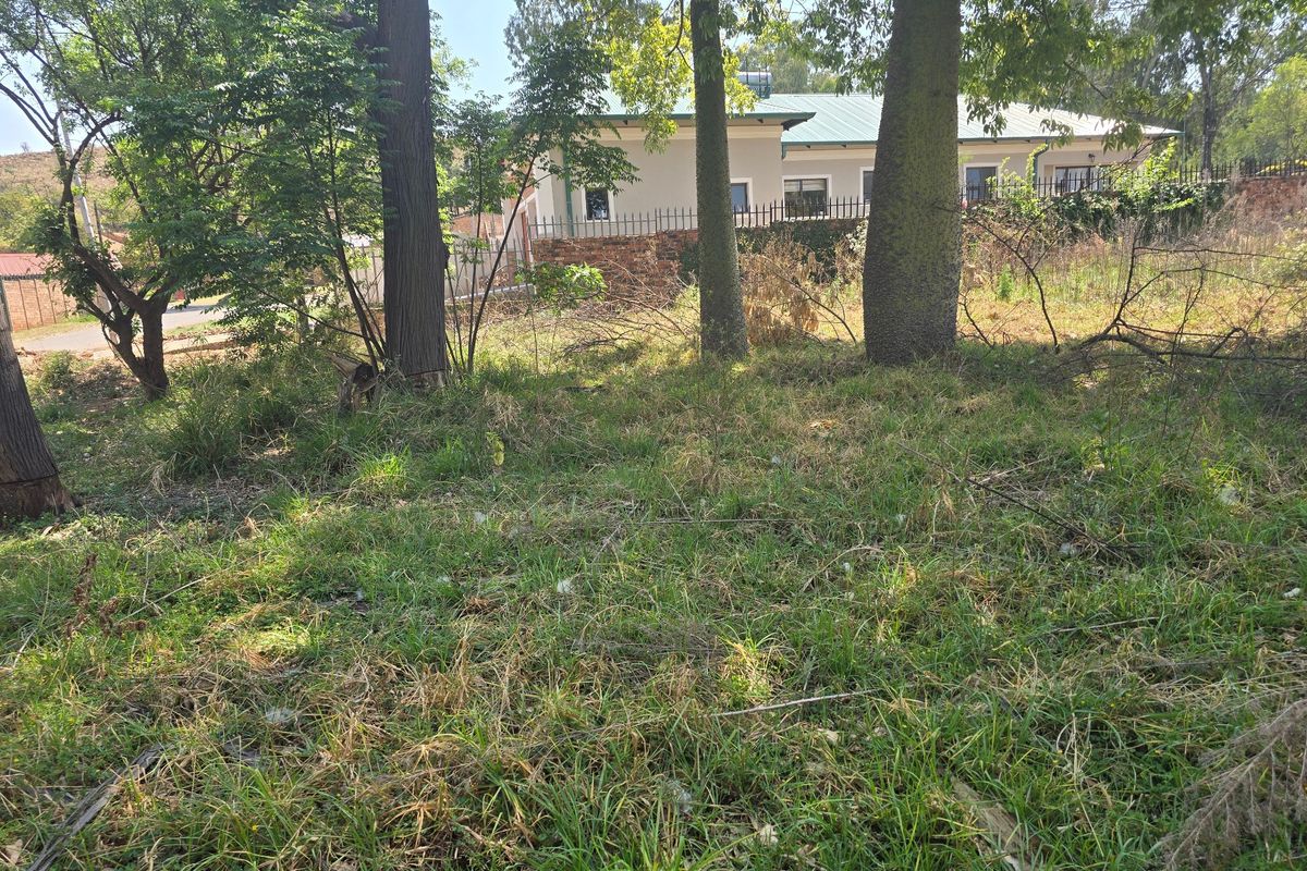 A view of an overgrown residential plot featuring mature trees and perimeter fencing, showing the natural state of the vacant land.