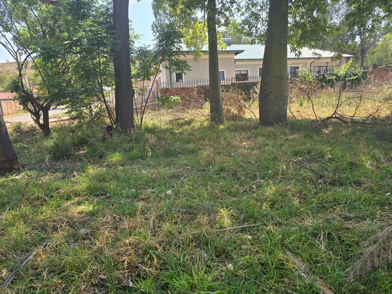 A view of an overgrown residential plot featuring mature trees and perimeter fencing, showing the natural state of the vacant land.
