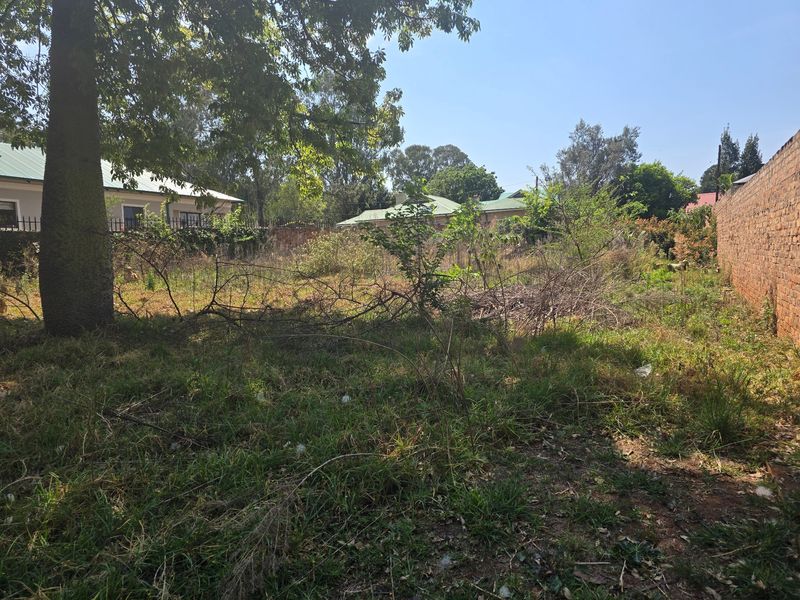A vacant residential plot featuring overgrown vegetation, mature trees, and existing brick boundary walls.