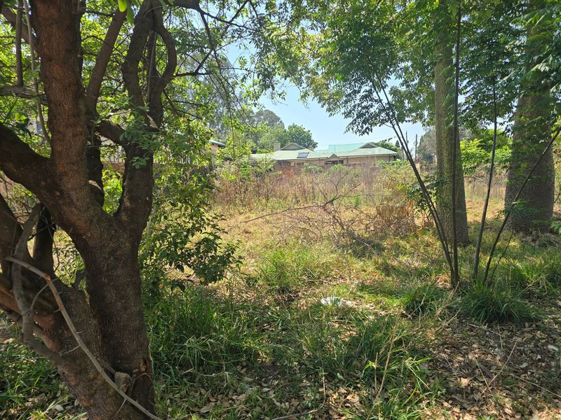 A view of an overgrown residential plot featuring mature trees and natural vegetation, offering potential for future development.