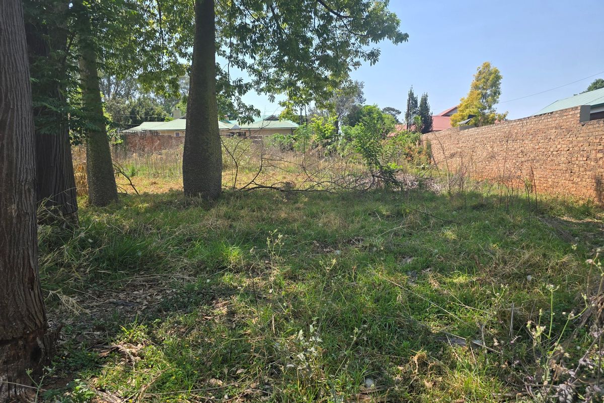 A vacant residential plot featuring mature trees and a perimeter brick boundary wall, offering a private setting for future development.