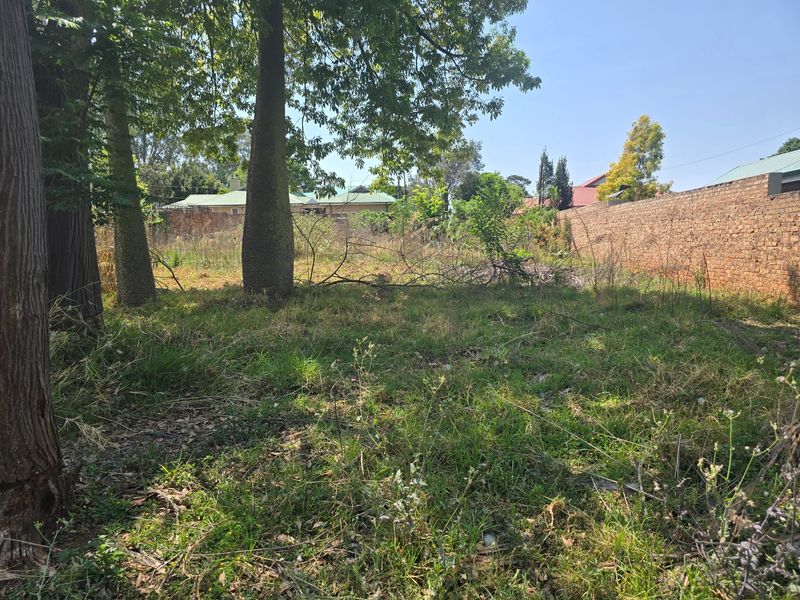 A vacant residential plot featuring mature trees and a perimeter brick boundary wall, offering a private setting for future development.