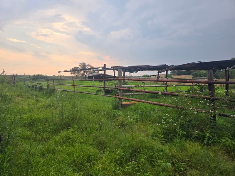An outdoor farm area featuring weathered metal livestock fencing and a basic metal shelter structure set within a grassy pasture.