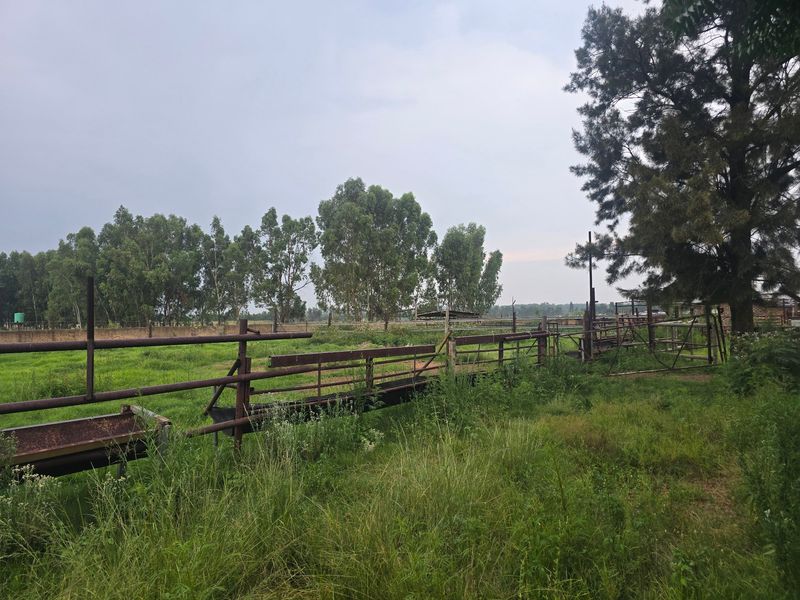 Outdoor farm area featuring metal livestock fencing and feeding troughs set within a grassy pasture.