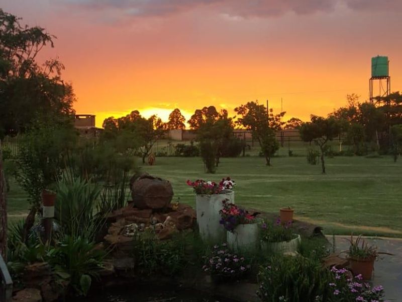 A scenic view of the farm garden at sunset, featuring a stone-paved patio area, a small garden pond, and a distant water tank.