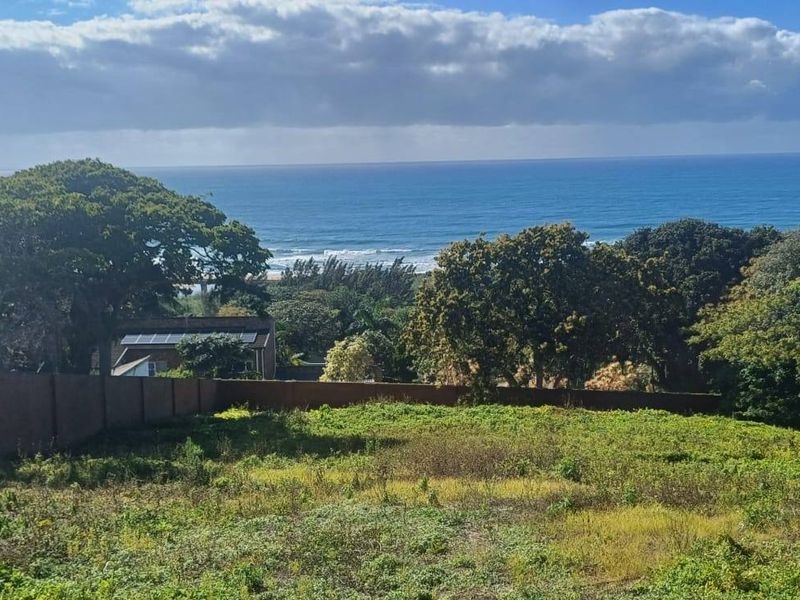 A vacant residential plot featuring expansive ocean views, established trees, and perimeter boundary walls.