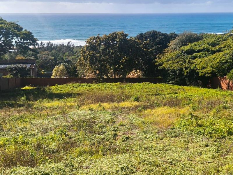 A vacant residential plot featuring established trees, brick boundary walls, and expansive ocean views.