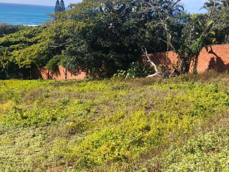 A sloped residential plot featuring established trees, a brick boundary wall, and scenic ocean views in the background.