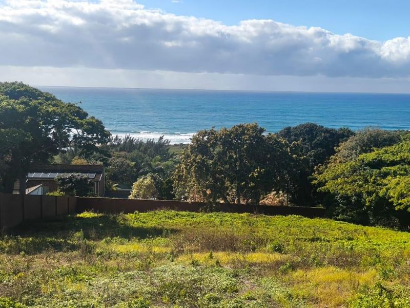 A vacant residential plot featuring a scenic ocean view, surrounded by mature trees and enclosed by a brick boundary wall.