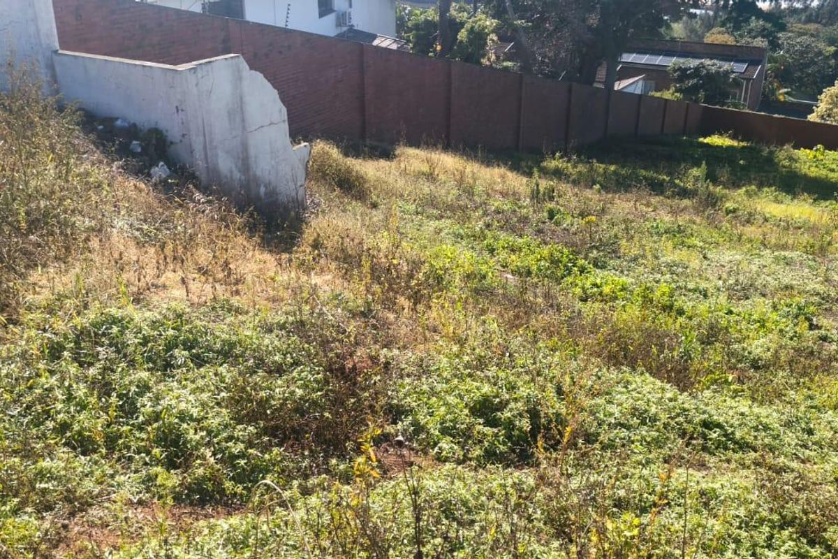 A sloped vacant residential plot featuring overgrown vegetation and a perimeter brick boundary wall with a damaged section of the retaining wall.