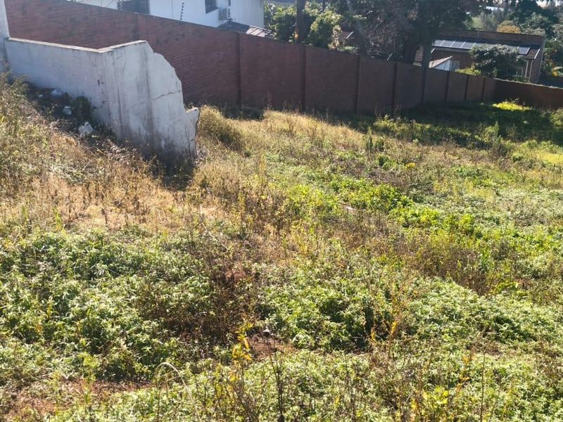 A sloped vacant residential plot featuring overgrown vegetation and a perimeter brick boundary wall with a damaged section of the retaining wall.