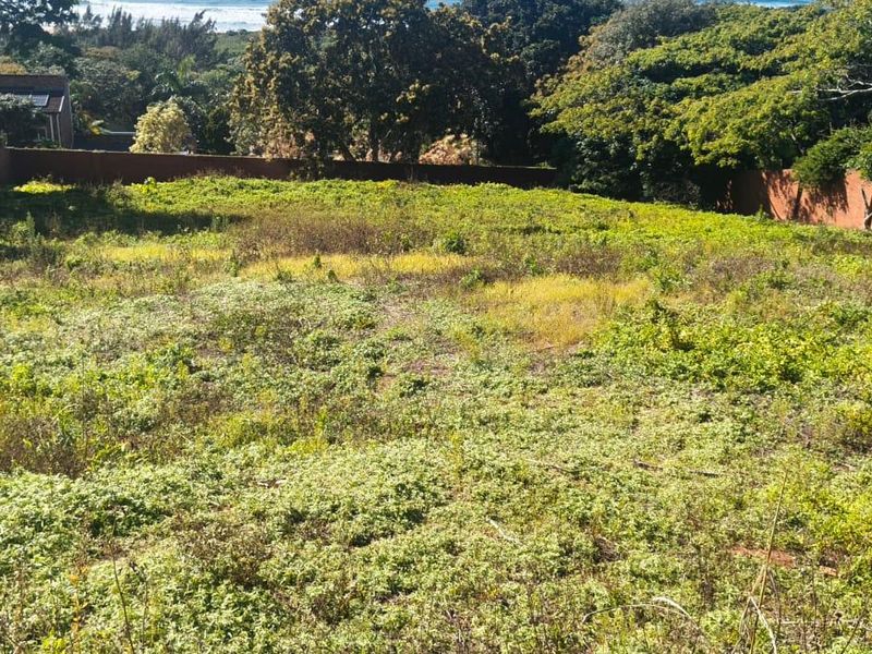 A vacant residential plot featuring established perimeter brick walls and mature trees, offering a clear space for future development.