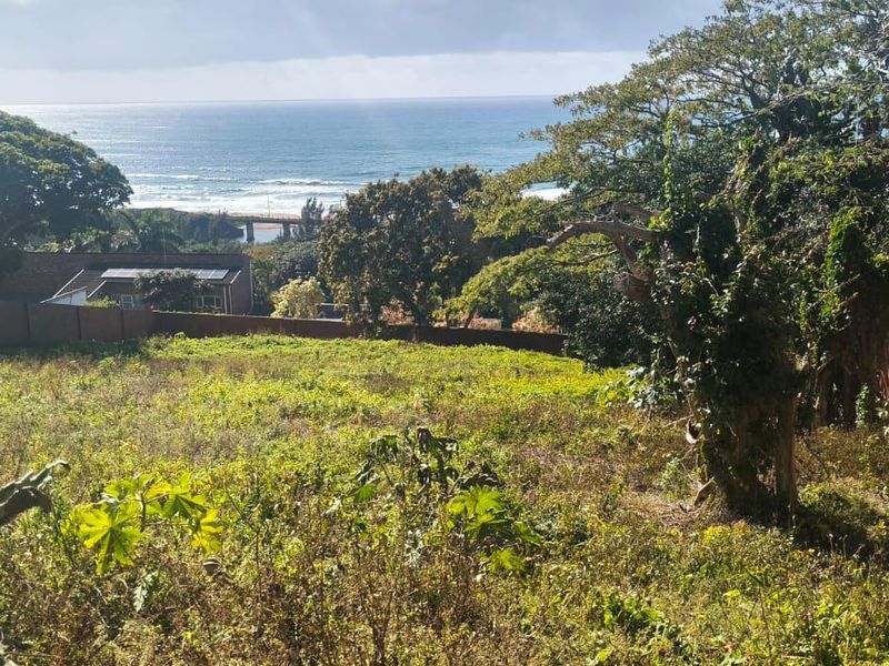 A vacant residential plot featuring a scenic ocean view, mature trees, and existing brick boundary walls.