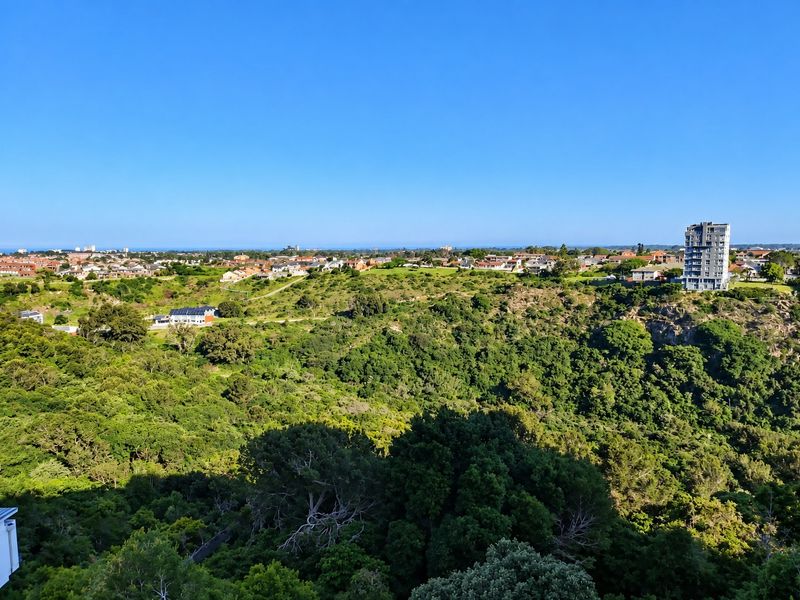 An elevated panoramic view overlooking a lush green valley, surrounding residential neighborhood, and distant coastal horizon.