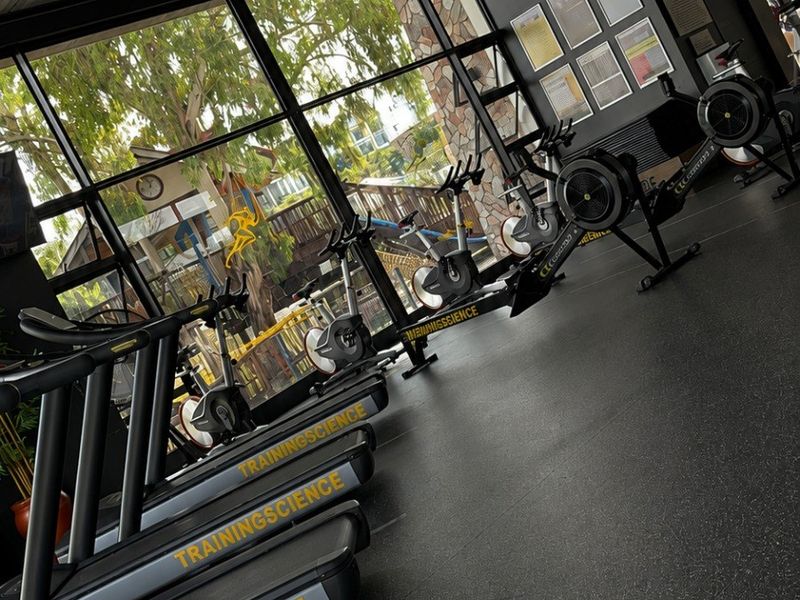 A modern, well-lit gym facility featuring rubberized flooring, floor-to-ceiling windows with garden views, and an open-plan layout.