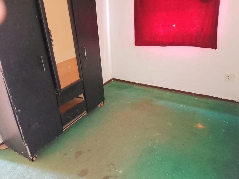 A bedroom featuring a built-in wardrobe and green carpeting that shows significant signs of wear and staining.
