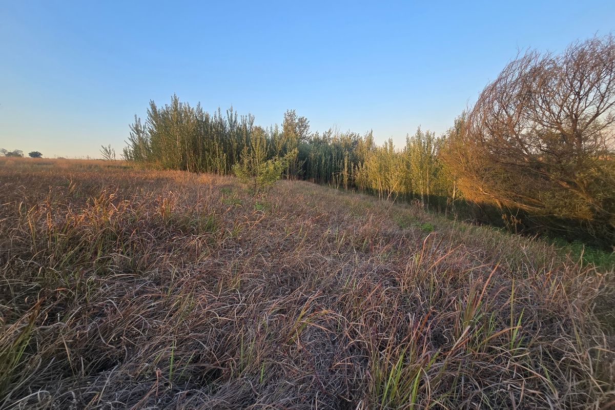 Farm Pending Sale In Cullinan - Photo 4