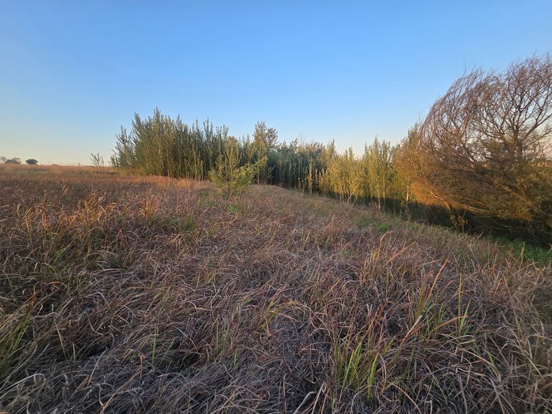 Farm Pending Sale In Cullinan - Photo 4