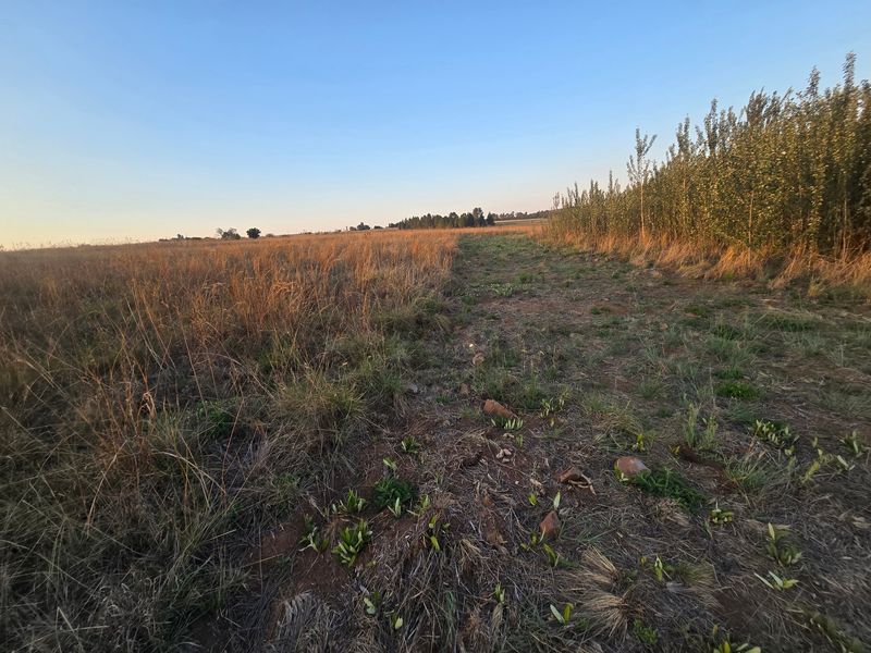 Farm Pending Sale In Cullinan - Photo 10