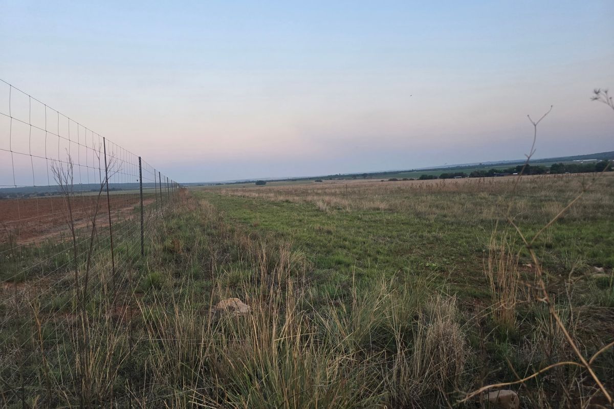 Farm Pending Sale In Cullinan - Photo 5