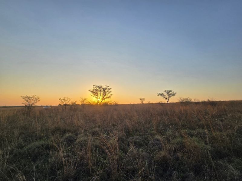 Farm Pending Sale In Cullinan - Photo 7