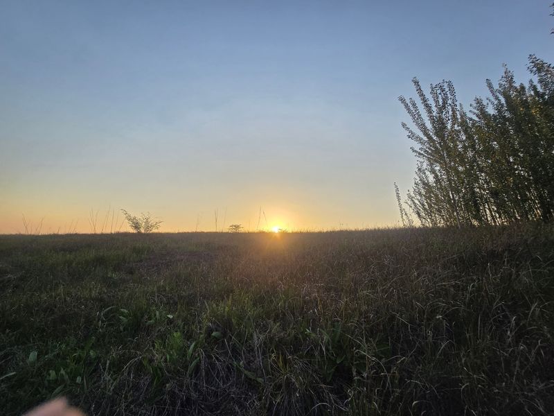 Farm Pending Sale In Cullinan - Photo 6