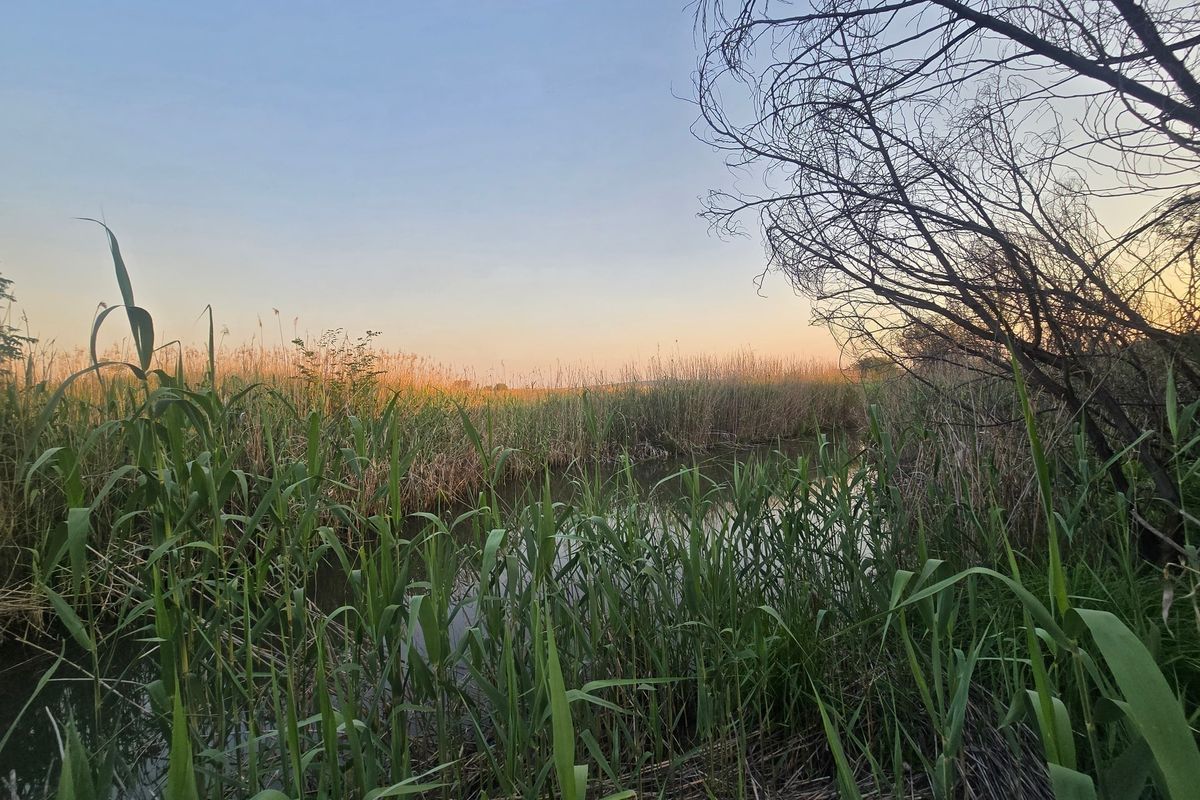 Farm Pending Sale In Cullinan - Photo 3