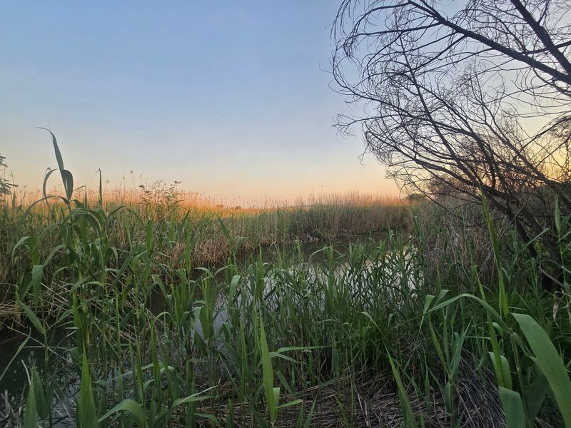 Farm Pending Sale In Cullinan - Photo 3