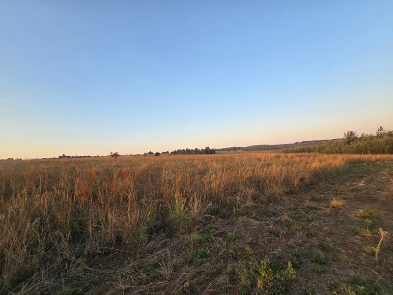 Farm Pending Sale In Cullinan - Photo 2