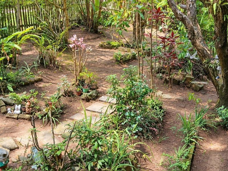 A natural garden area featuring established trees, varied plantings, stone pathway pavers, and a timber boundary fence adjacent to a wooden deck.