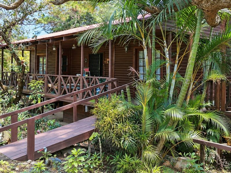 A rustic timber townhouse featuring a wrap-around deck, accessible ramp, and lush garden surroundings, showcasing a natural and integrated outdoor living space.
