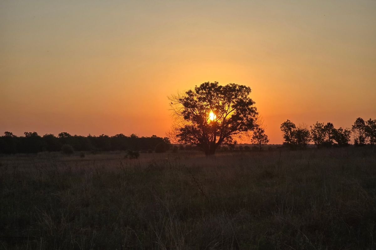 A scenic sunset view over the open farm landscape, highlighting the natural beauty and expansive grounds of the property.