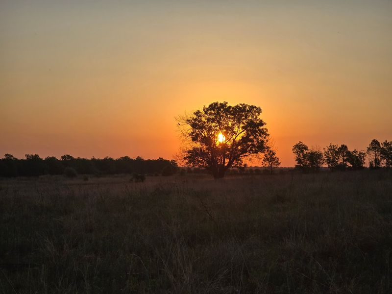 A scenic sunset view over the open farm landscape, highlighting the natural beauty and expansive grounds of the property.