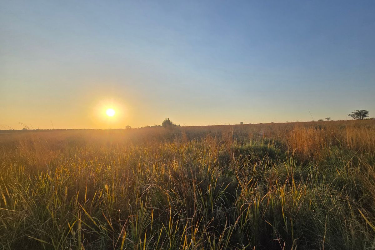 A scenic view of the open farm landscape at sunset, showcasing the natural terrain and expansive horizon.