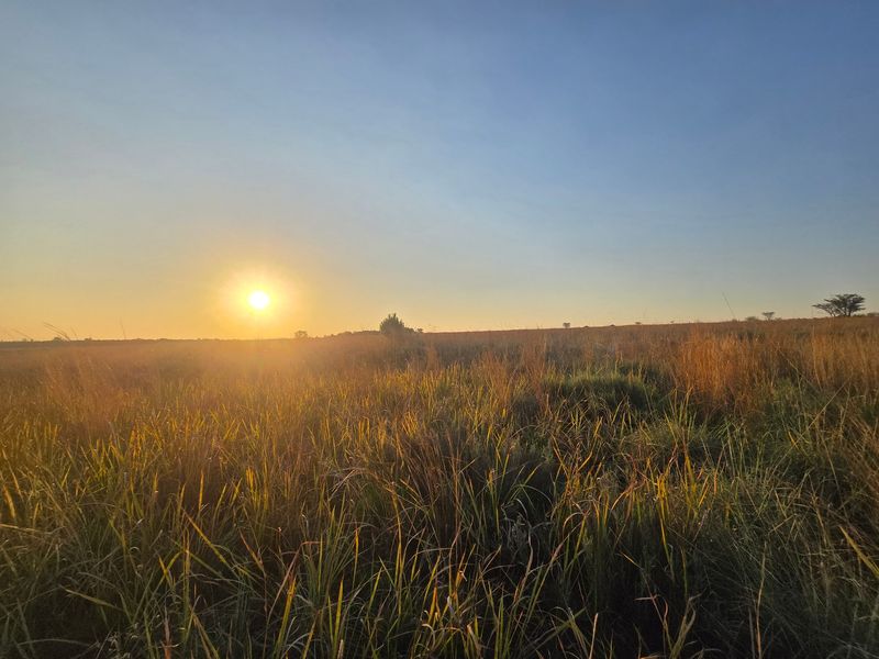 A scenic view of the open farm landscape at sunset, showcasing the natural terrain and expansive horizon.