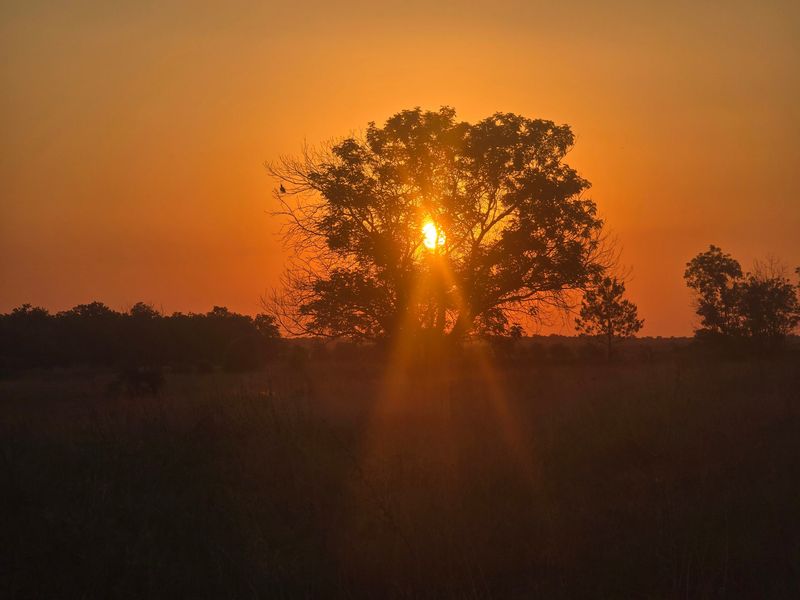 A scenic sunset view over the farm landscape, highlighting the natural beauty and open space of the property.