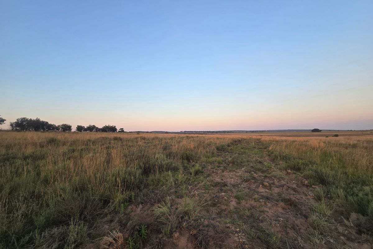 A wide-angle view of the expansive open veld and natural landscape on the farm property at sunset.