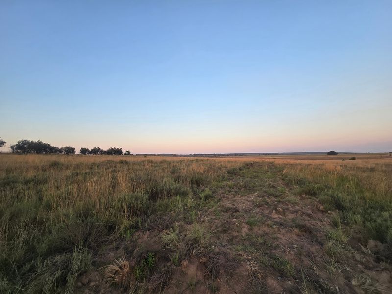 A wide-angle view of the expansive open veld and natural landscape on the farm property at sunset.